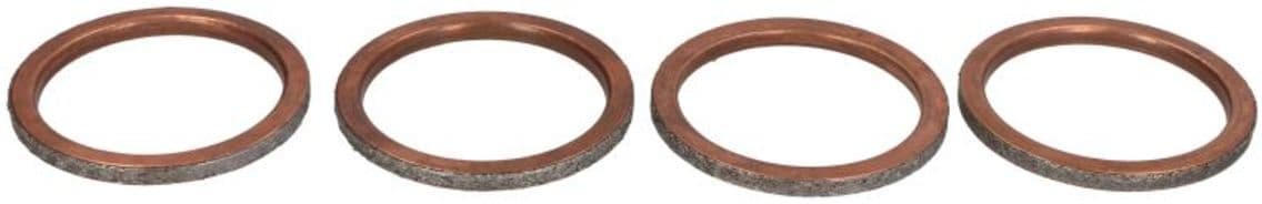 Abgasdichtung WINDEROSA W823122