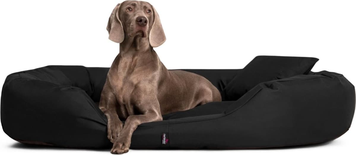 Tierlando Orthopedisch hondenbed SAMMY - Zwart - 140 x 105 cm