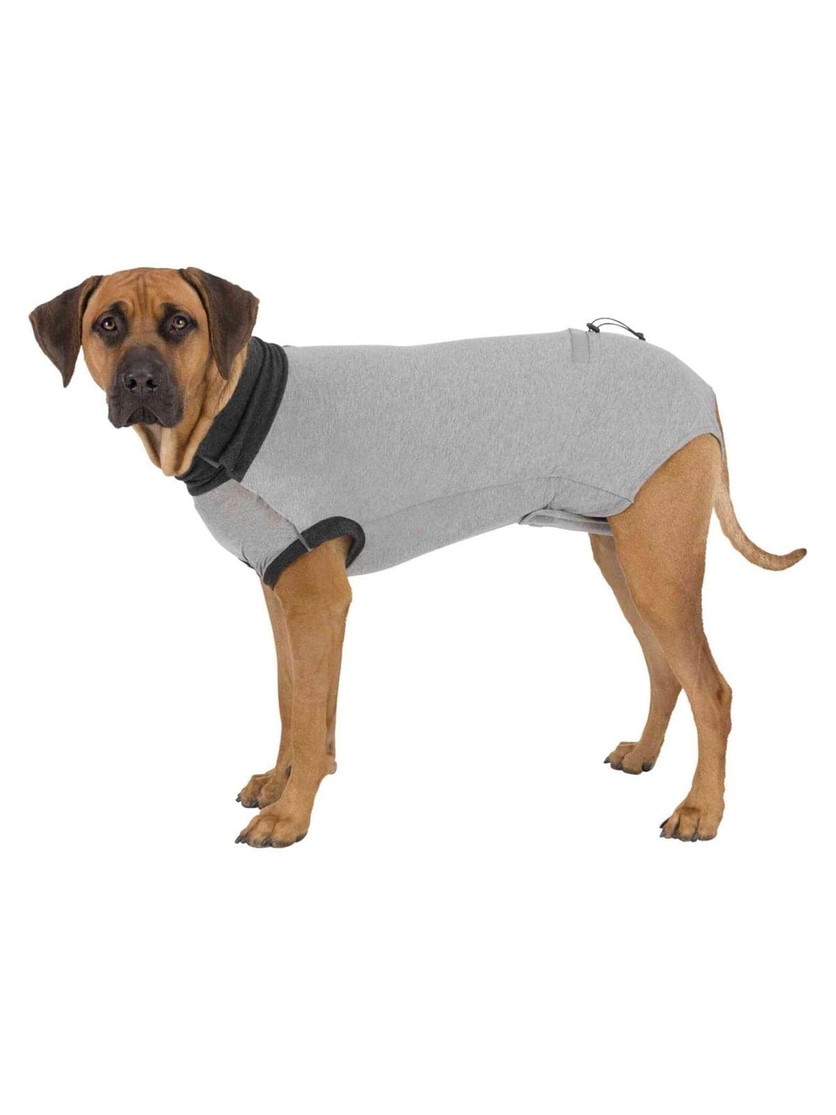 Trixie Schutzbody für Hunde Größe: XS Rückenlänge: 25cm