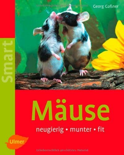Georg Gassner - Mäuse: neugierig - munter - fit - Preis vom 01.10.2026 17:08:56 h