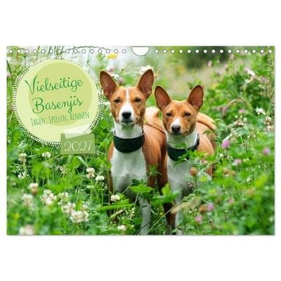 Vielseitige Basenjis (Wandkalender 2027 DIN A4 quer), CALVENDO Monatskalender