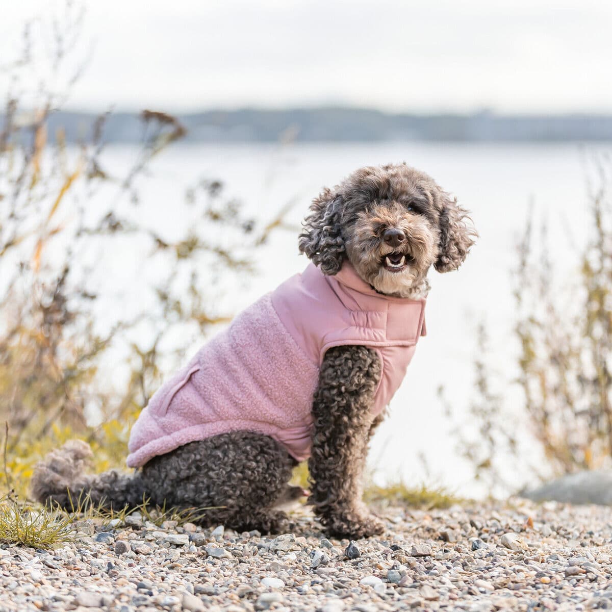 Trixie Ajou Vinterdekken Til Hund Rosa