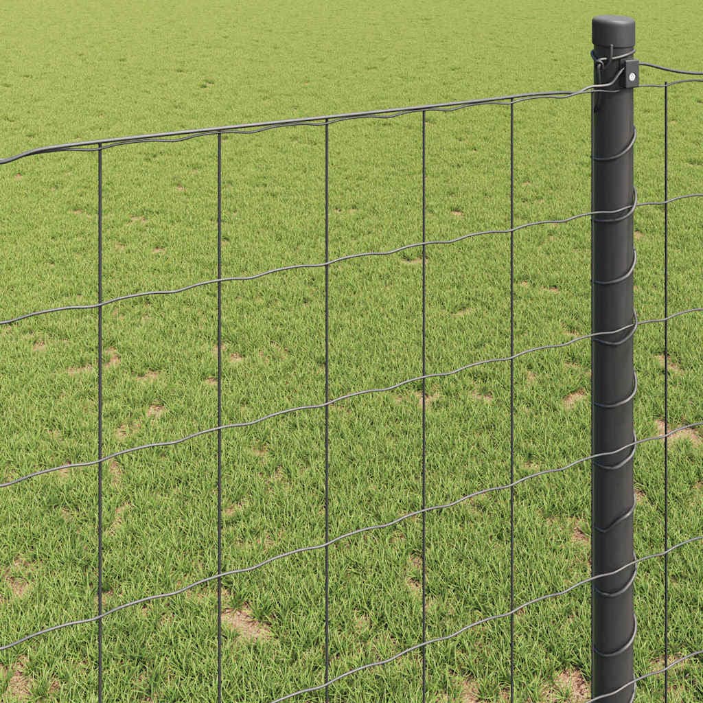 vidaXL Clôture Euro 0,8 x 10 m Fer revêtu de PVC Gris