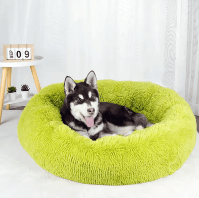 Uplift Curations Plush Dog Bed Washable Fluffy Sofa Basket Bed For Small, Medium And Large Dogs green 15.7 In