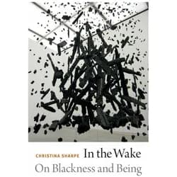 In the Wake, Fachbücher von Christina Sharpe