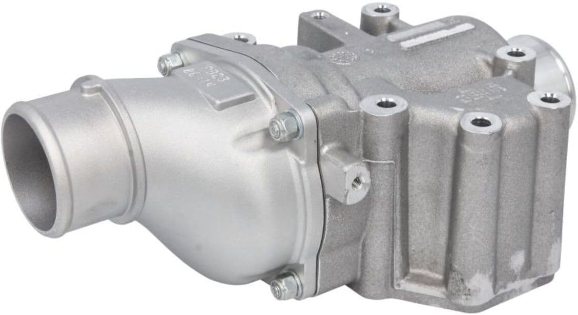 Thermostat d'eau LEMA 451879