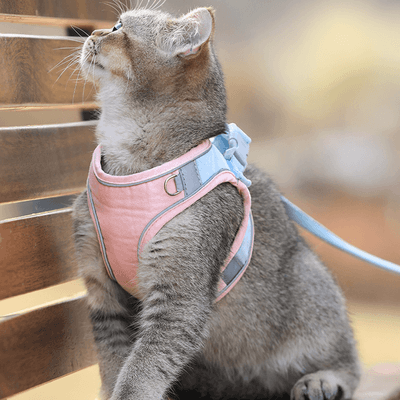 PetsAreLife Luminous Cat Vest Pink M