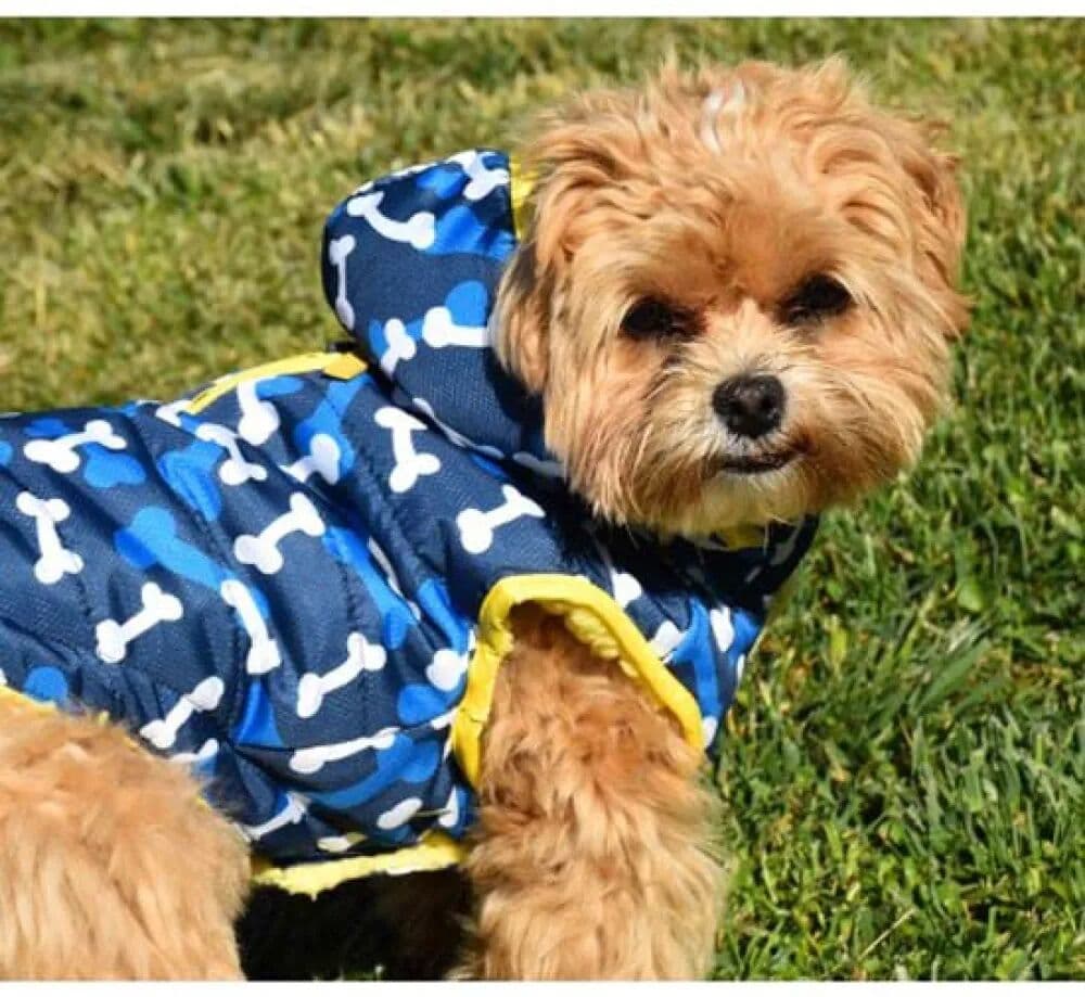 Nayeco Chaqueta Para Perro Camuflabones Blue 40 cm