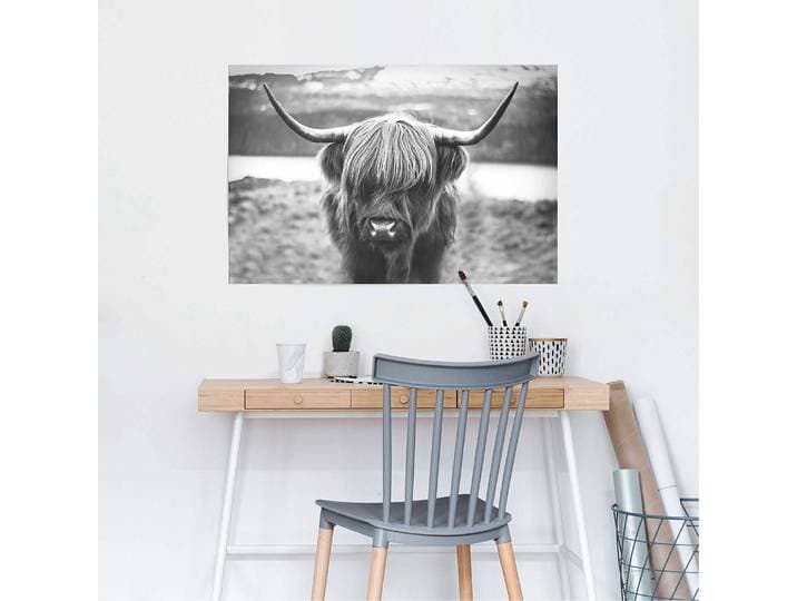 Poster Bœuf des Highlands écossais Papier Noir 61 x 92 x 0cm