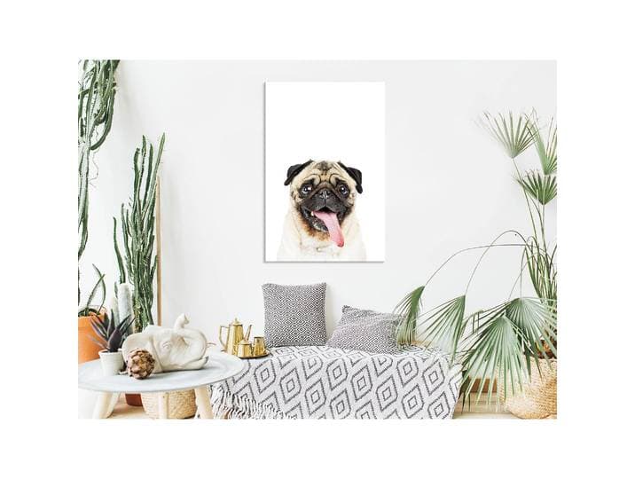 Tableau déco Pug Lin Blanc 40 x 60cm