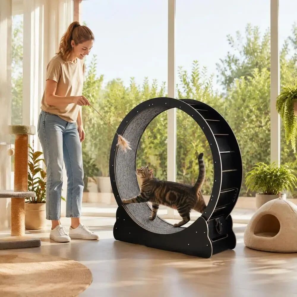 NONE Exercise Wheel 43 in Large Cat Treadmill Wheel Indoor Cats Detachable Carpet Cat Teaser Running Walking Training Quiet Noise Reduction Multi-Purpose Wheel Lock Health Happiness 43.3 X 13.31 X 46.1 Cm