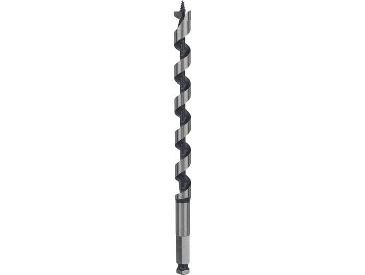 Bosch - Houtslangenboor\, zeskant 15\,0 x 160 x 235 mm