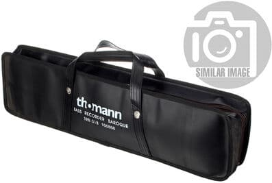 Thomann Bag Bass Recorder TRB-31B BK Noir