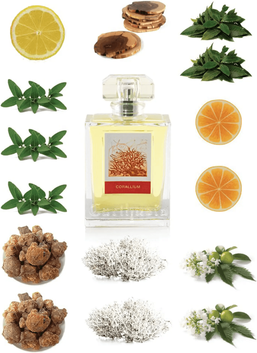 Crema de maini Carthusia Corallium