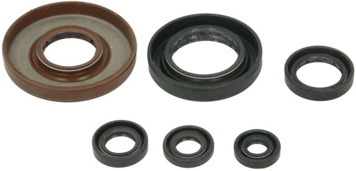 Conjunto de vedantes do óleo do motor WINDEROSA W822276