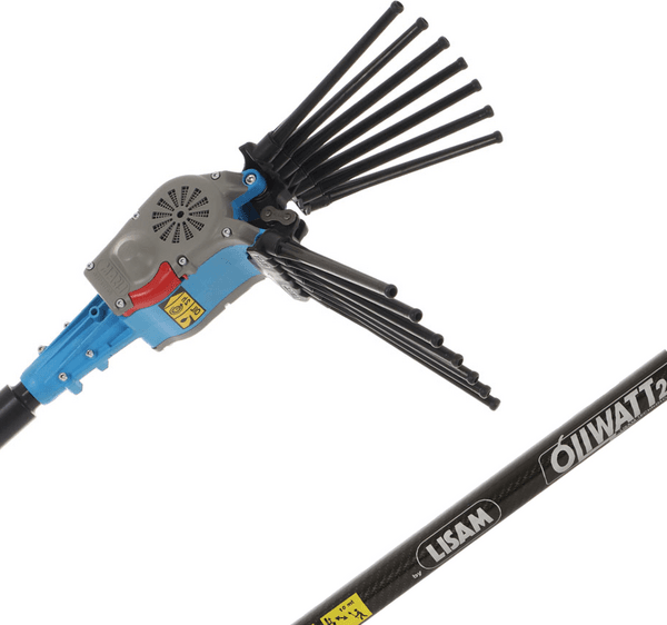 Lisam Oliwatt 2 - Abbacchiatore Elettrico a batteria - Con denti in Nylon - 280 cm - Asta Fissa