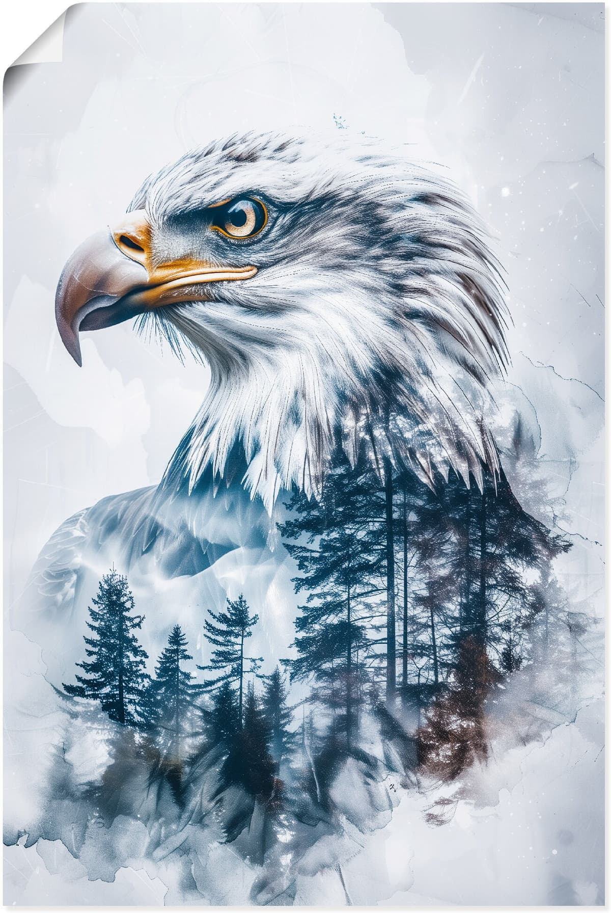 Artland "Weisskopfadler" Vogelbilder 1 Stk. tlg. als Alubild, Leinwandbild, Poster, Wandaufkleber in verschied. Grössen farbe bild(er): blau B/H/T: 80cm x 120cm, Poster Vogelbilder Hochformat, 1 Stk.