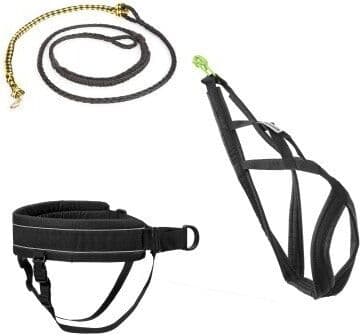 Tur hundeutstyr Kit Canicross Sort 0