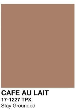 Inspire Select Bone Brew Minimalist Canvas Poster Skeleton Coffee Line Art Wall Decor For Kitchen & Cafe 7.87 11.81 In dm44 2 unframed