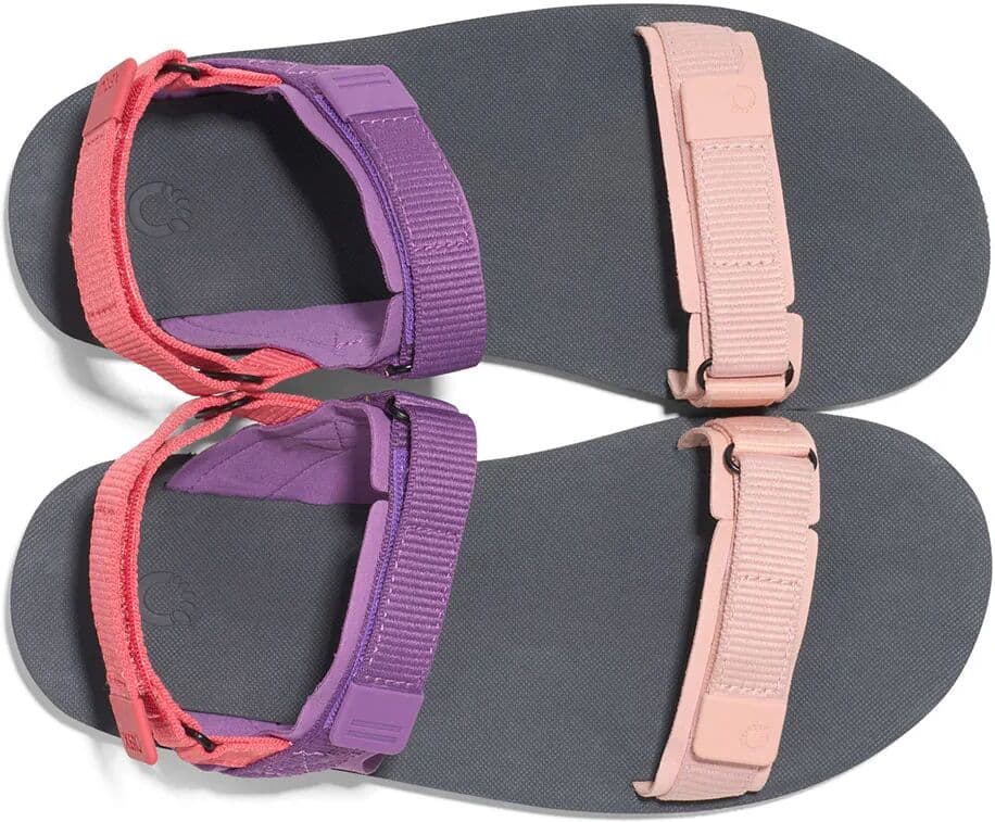 Xero Shoes Sandalias D-trail Reacondicionado Dewberry Multi EU 39 1/2