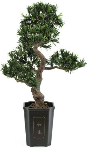 Europalms Bonsai Podocarpus, artificial plant, 80cm TILBUD NU