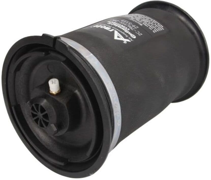 Arnott Molla pneumatica, telaio EUROPE A-2642