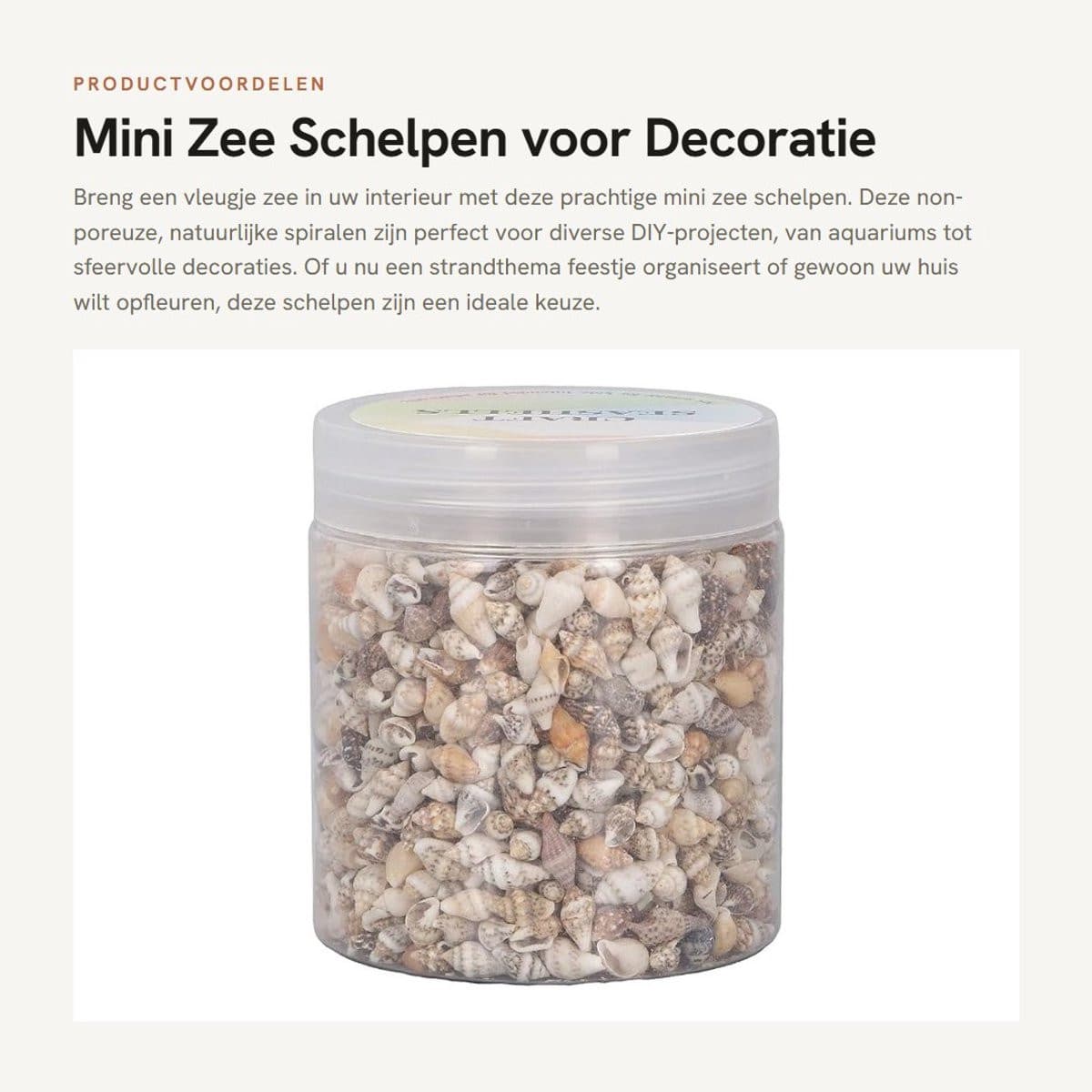 Dailygoods Zeeschelp Mini - Handgemaakte decoratieschelp voor aquarium of kaarsen maken