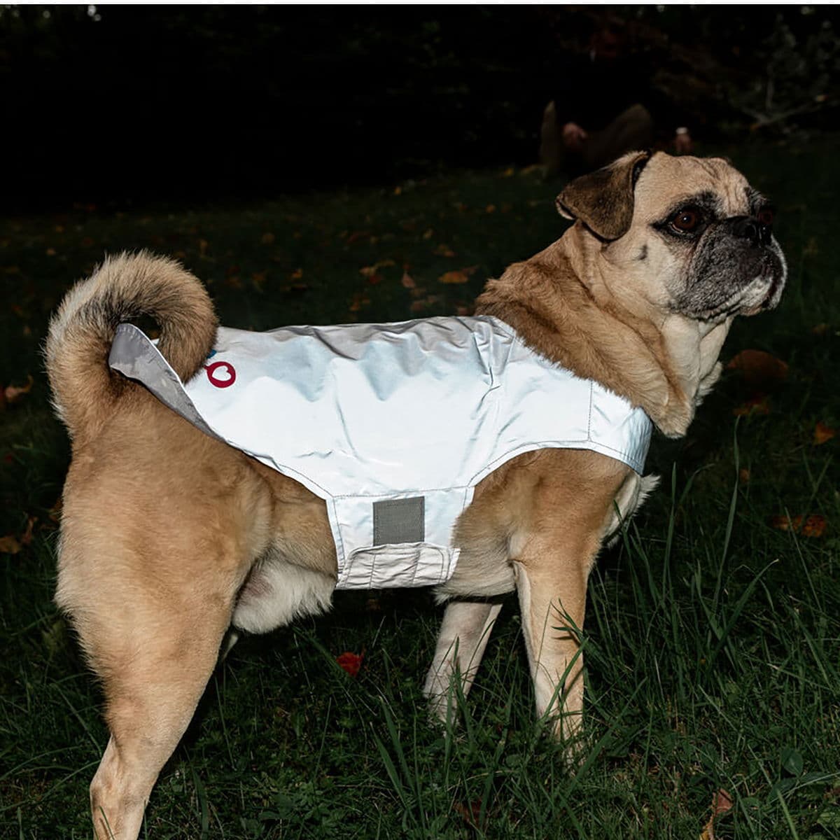 Icepeak Pet Icepeak Brightly Refleksvest Vetzoo