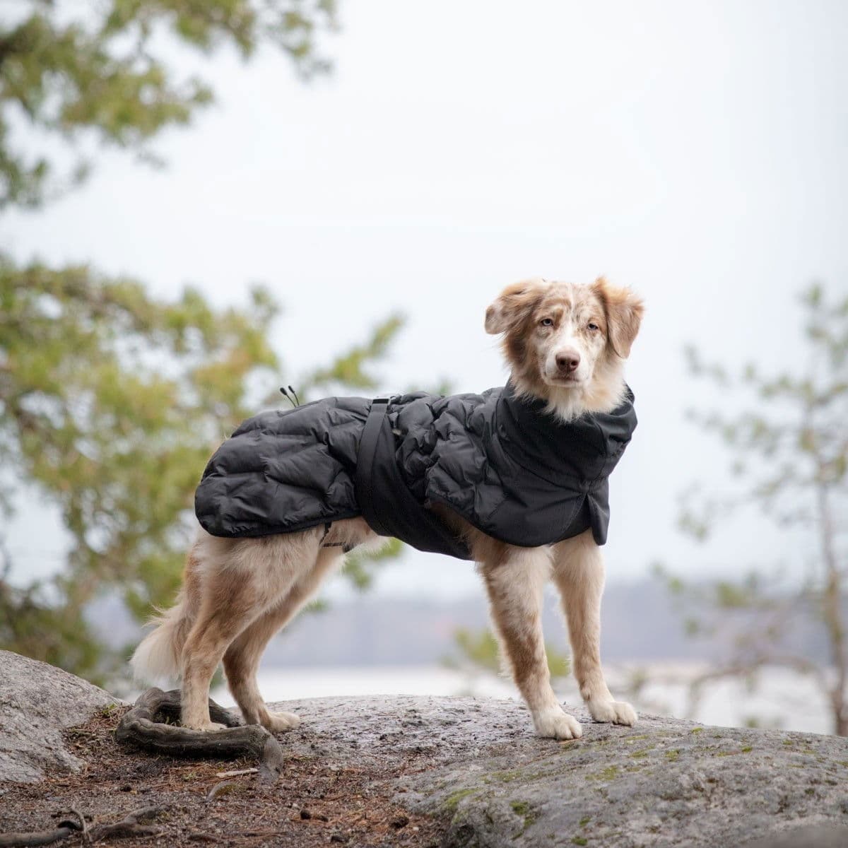 Feel Active Haga Parka Svart