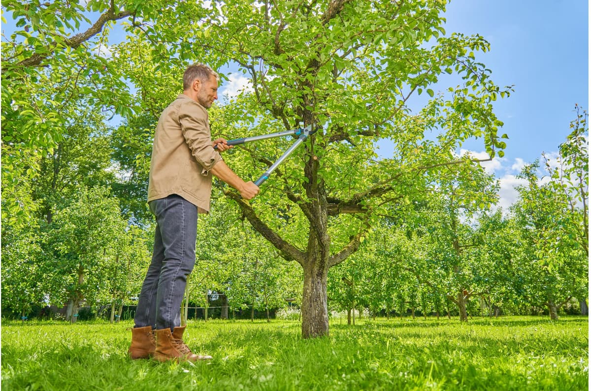 Astschere GARDENA "EasyCut L", grau (bunt), Scheren, Astschere bunt Einheitsgröße