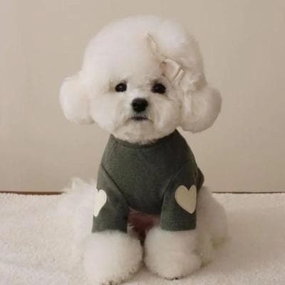 Inspire Essentials Cute Love Bear Winter Dog Hoodie For Small Dogs And Puppies green xsold