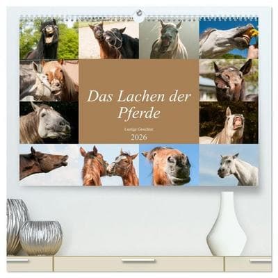 Das Lachen der Pferde - Lustige Gesichter (hochwertiger Premium Wandkalender 2026 DIN A2 quer), Kunstdruck in Hochglanz