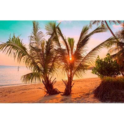Fototapete PAPERMOON "Tropischer Sonnenuntergangsstrand", bunt, B:2m L:1,49m, Vlies, Tapeten
