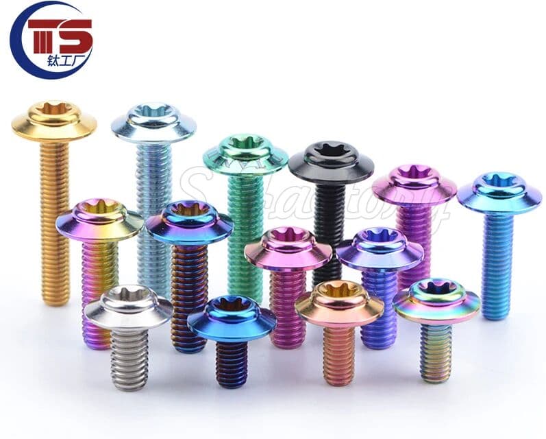 TITST TS 2 and 10pcs titanium factory titanium alloy screw umbrella head M5/M6X10/12/15/20/25/30mm D13.5mm electric car motorcyc