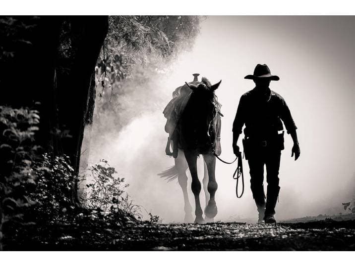 Fototapete PAPERMOON WILDE WESTEN-PFERD TIERE PFERDE SCHWARZ WEIss WANDTAPETE , bunt, B:2,5m L:1,86m, Vlies, Tapeten, Fototapete