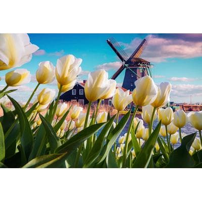 Fototapete PAPERMOON "Landschaft mit Bergen", bunt, B:3m L:2,23m, Vlies, Tapeten