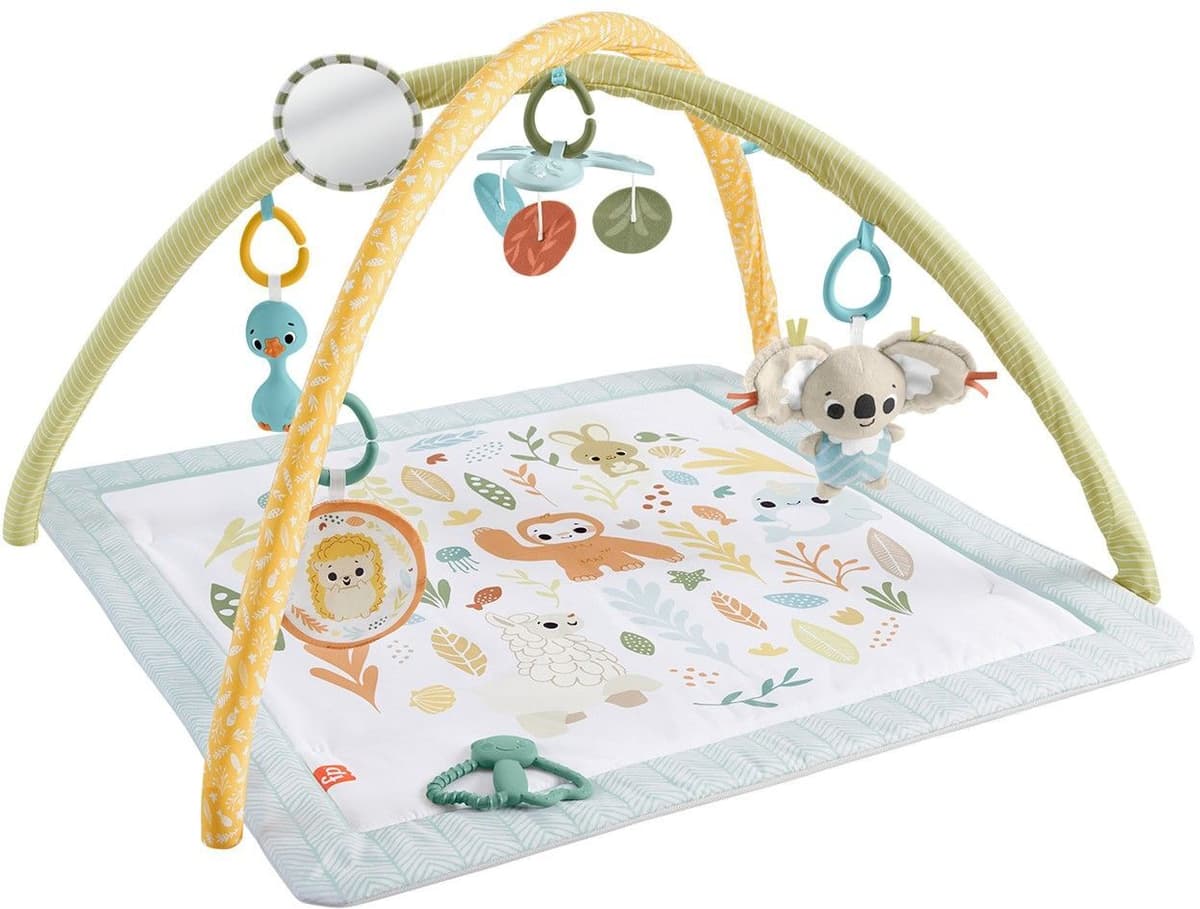 Fisher-Price Senses - Newborn Gym (JMN74)
