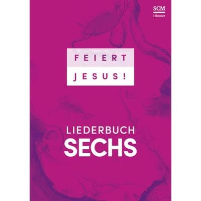 Feiert Jesus! 6 - Ringbuch -
