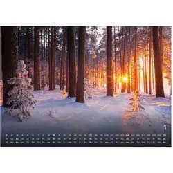 Umbreit, Kalender, Wald - Erholung für Mensch und Tier 2027 (A2, A3)