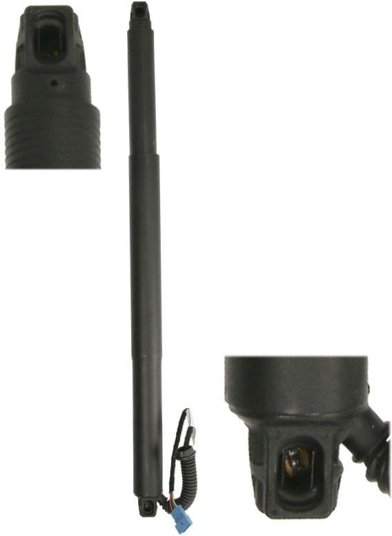 Elektromotor, Heckklappe MAGNUM TECHNOLOGY MGS3143MT