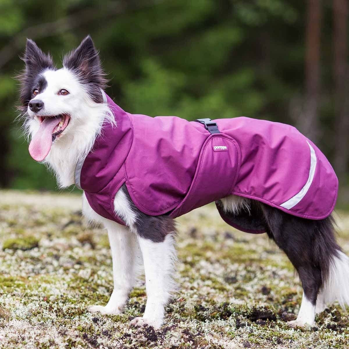 Pomppa Perus Vinterdekken Hund Plum