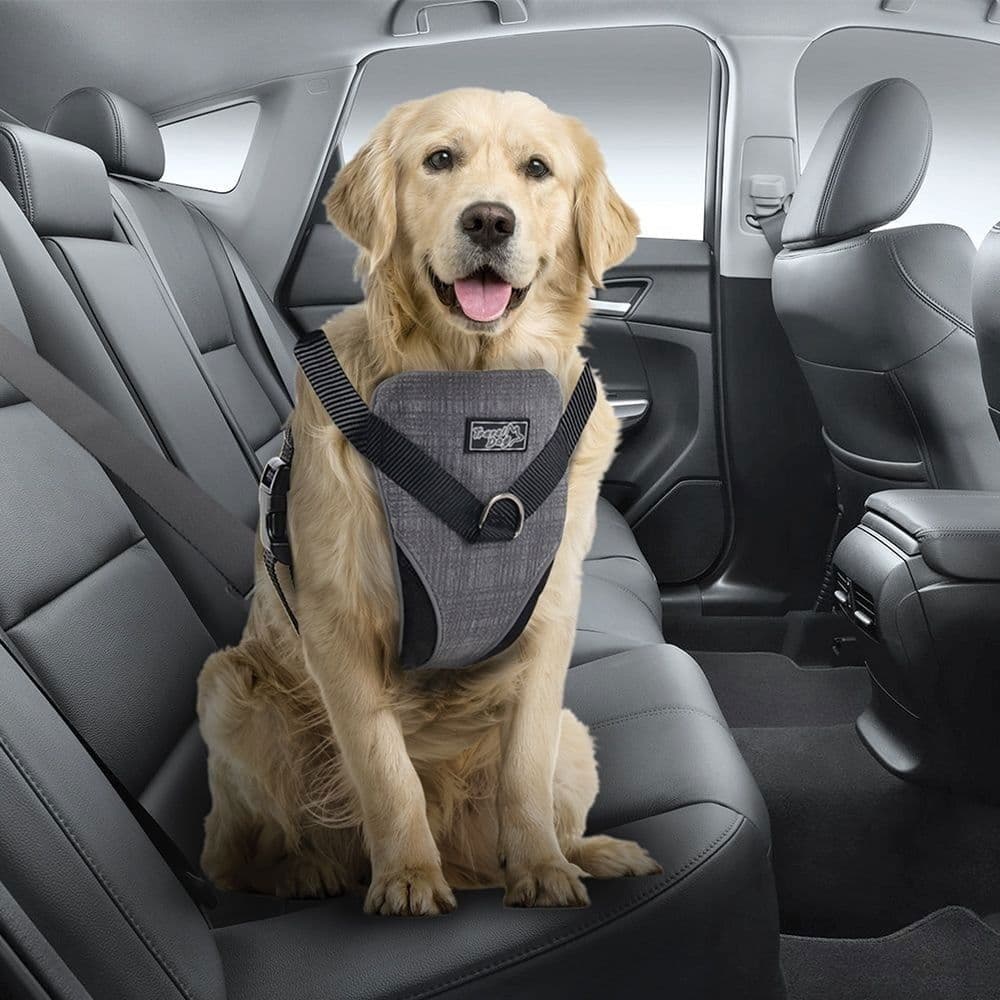 All For Paws Dog Bilsele S
