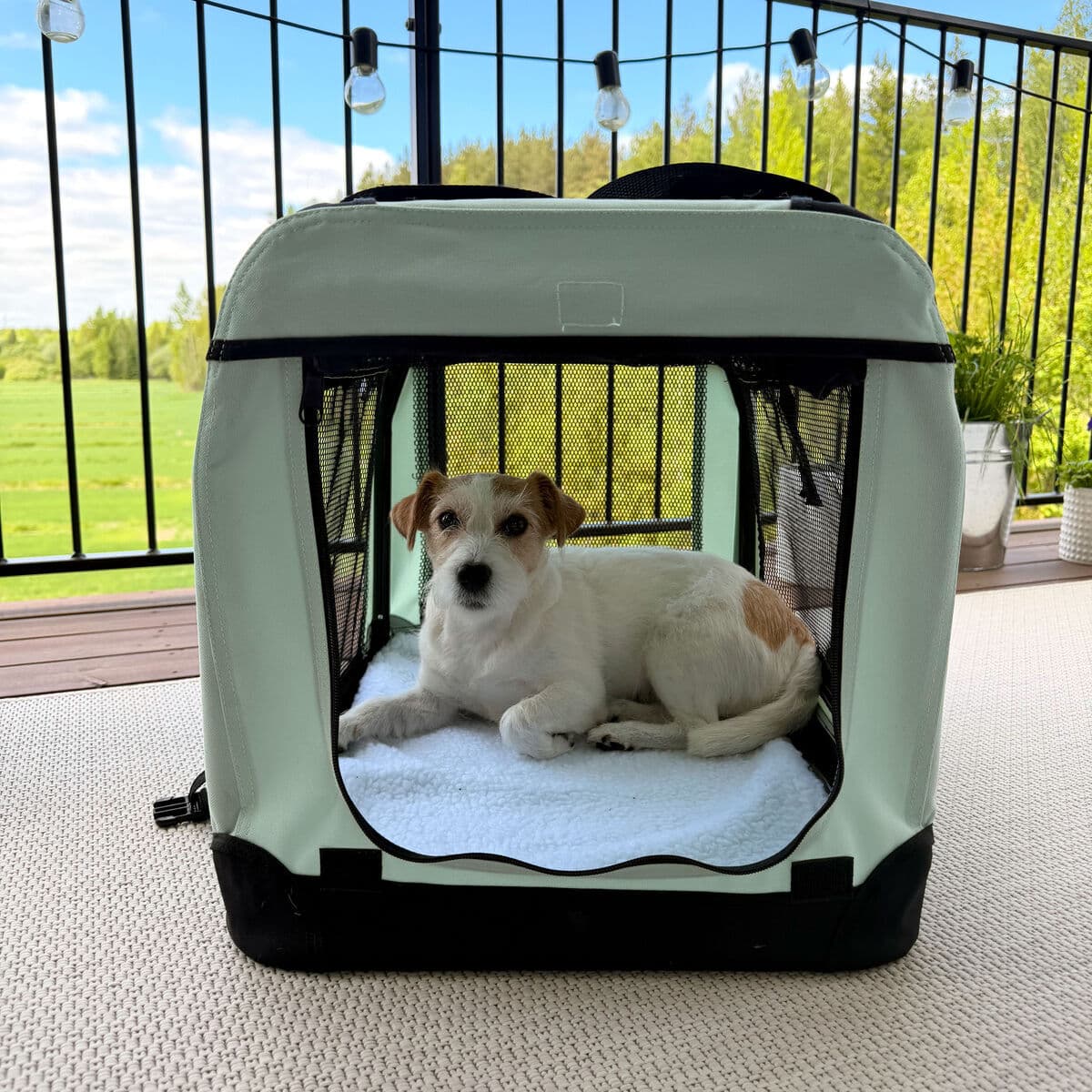 Peteasy Luxury Soft Transportbur Ljusgrön S