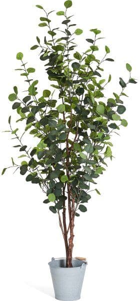 4EverGreen Eukalyptus Træ, 180 Cm