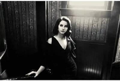 Uplift Picks Lana Del Rey Canvas Wall Art Aesthetic Music Poster Print For Bedroom And Room Decor 14 30x40 Cm no Frame