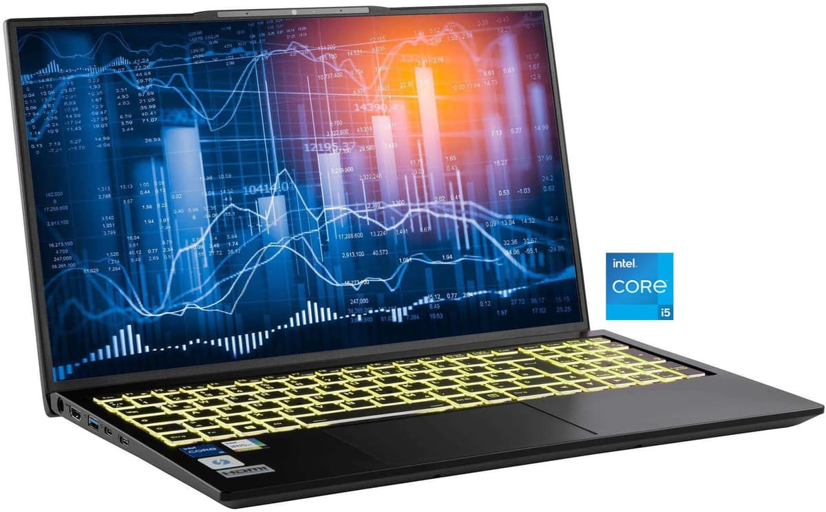 CAPTIVA Business-Notebook "Business/Office I10-1411GE", silberfarben, 16 GB RAM 1.000 GB SSD, Core i5, Microsoft Windows 11 Home (64 Bit), Notebooks