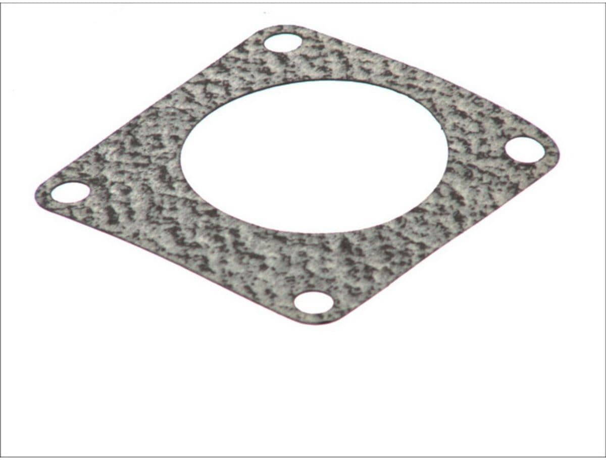 Borgwarner (Wahler) Guarnizione, termostato WAHLER WA121908.00