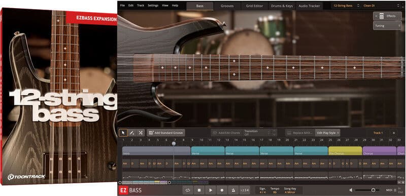 Toontrack EBX 12-String Bass