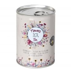 Bartl Dosenblume Blumenwiese 294564