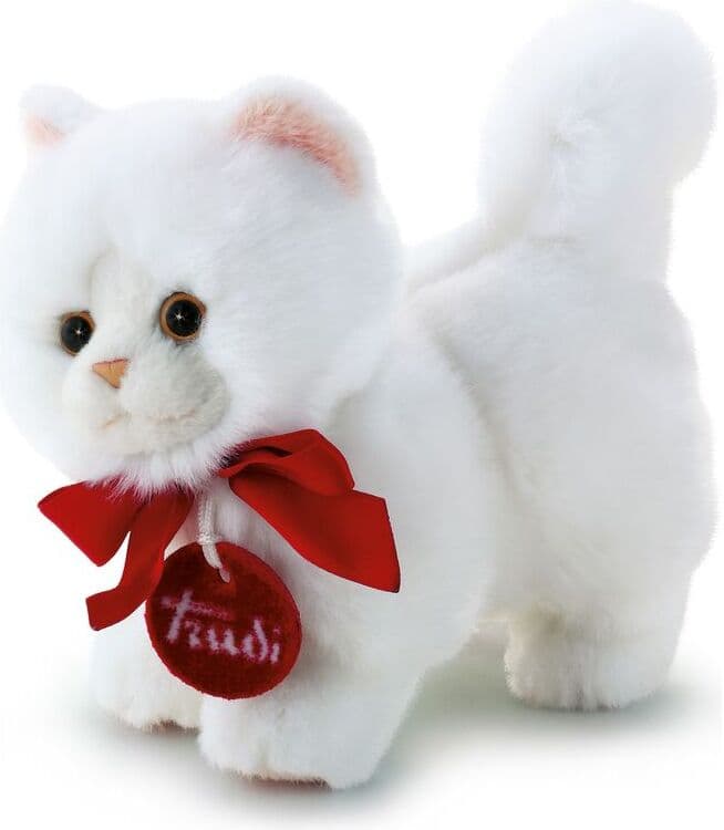 Trudi ni Gatto Persiano